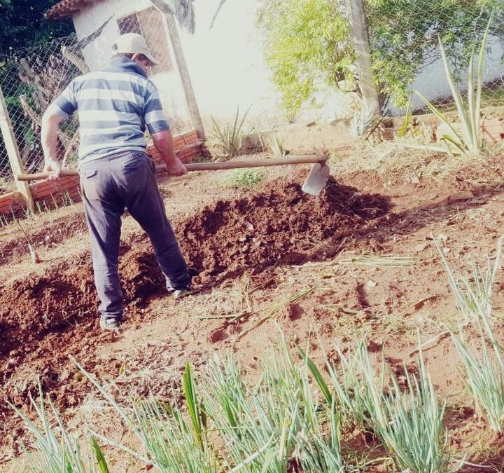 MAG entregará kits para huertas a personas con agua potable