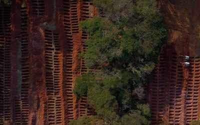 Covid-19: Fosas comunes en Brasil ante el colapso de cementerios