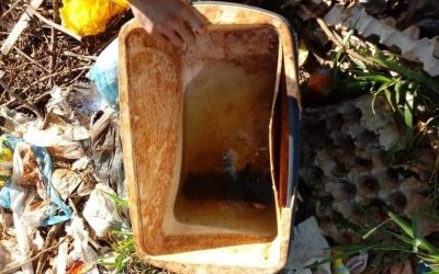 Instan a eliminar diariamente criaderos de mosquitos, durante todo el año