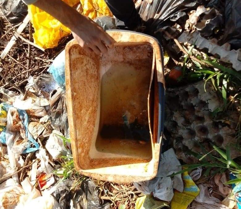 Instan a eliminar diariamente criaderos de mosquitos, durante todo el año