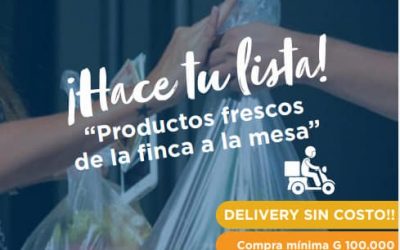 MAG realizará delivery de productores organizados desde este jueves