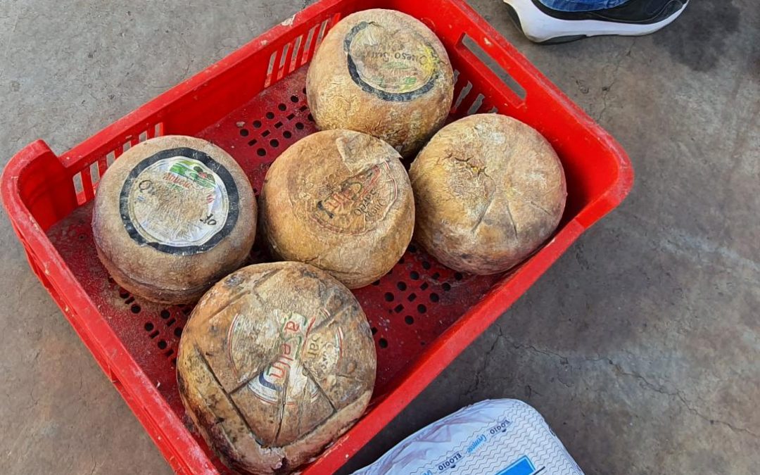 Allanamiento en distribuidora de quesos en Fernando de la Mora