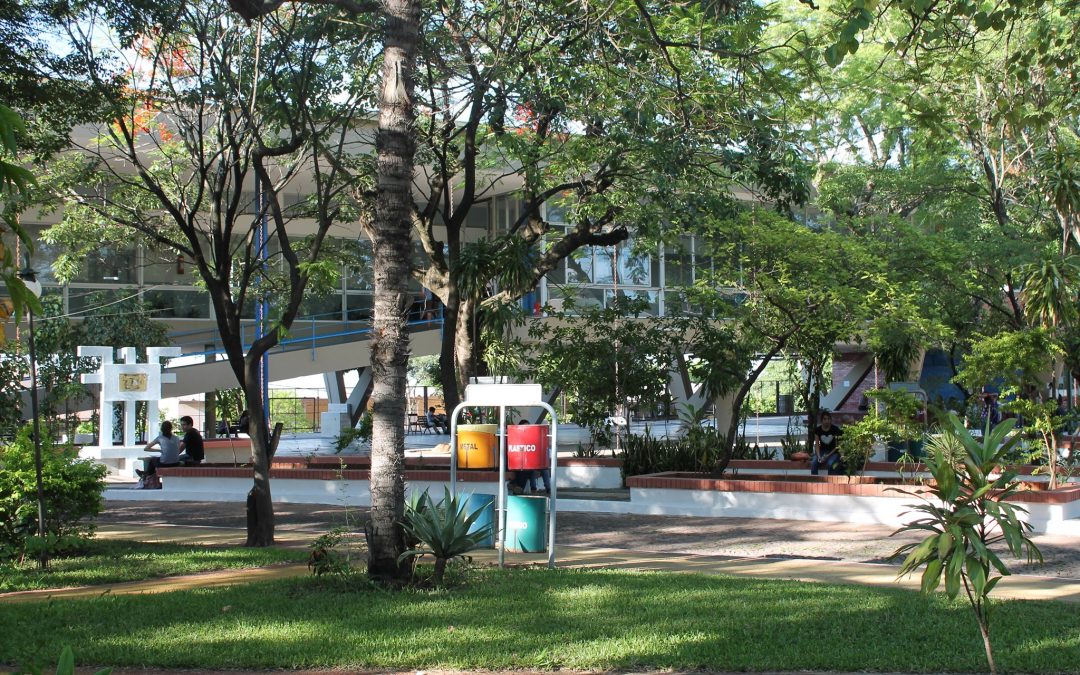 Filosofía UNA tendrá su primera defensa virtual de grado