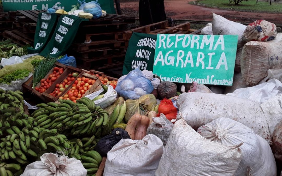 FNC entregó alimentos para colaborar con ollas populares de Asunción