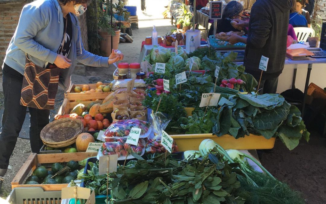 Vuelve la Feria Agroecológica a la Plaza Italia