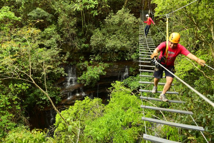 Decretan reducción del IVA para rubro gastronómico, eventos y turismo