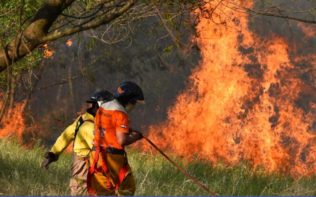 Alerta en el Pantanal: Temen propagación de incendios en el Chaco
