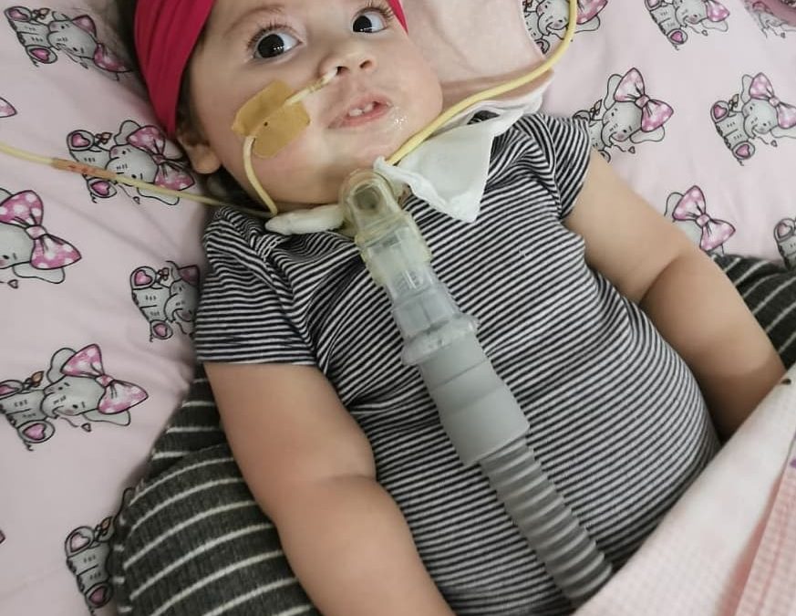 ¡Jugada de 10! Dinho pidió que parte de su compensación monetaria sea para Bianca