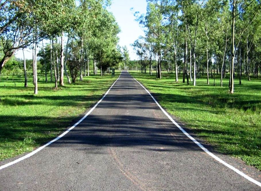 Adelantan horario de cierre de parques Ñu Guasú y Metropolitano por cuarentena social