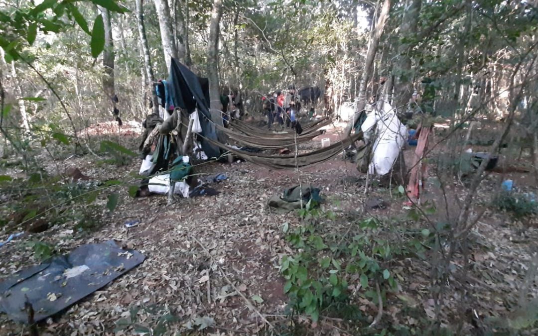 En sesión reservada, Congreso obtendrá informe sobre operativo de la FTC