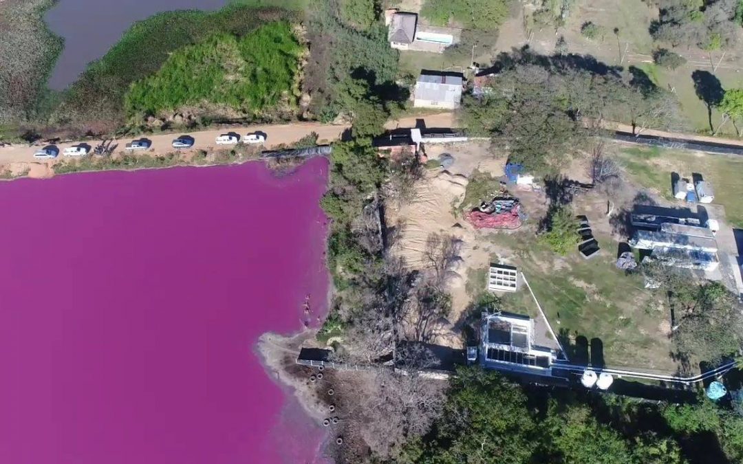 Mades lamenta rechazo de solicitud de cierre de Waltrading