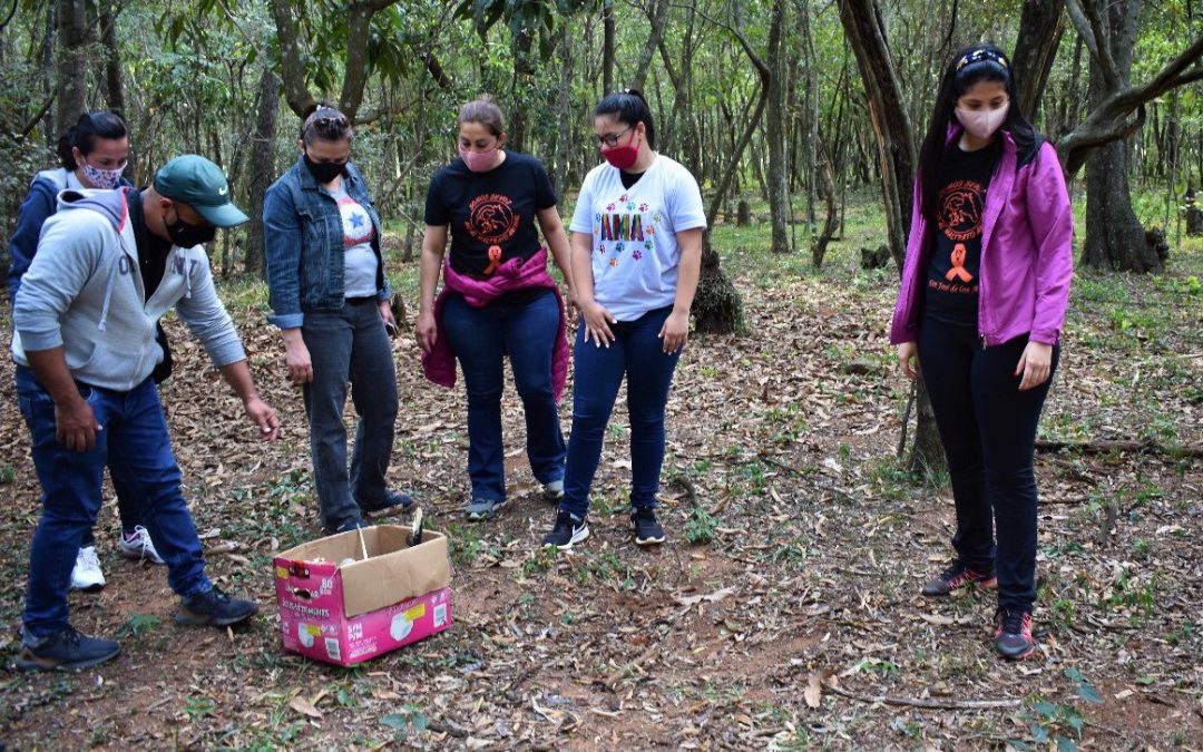 Mujer faenaba perros para su presunta comercialización y consumo humano