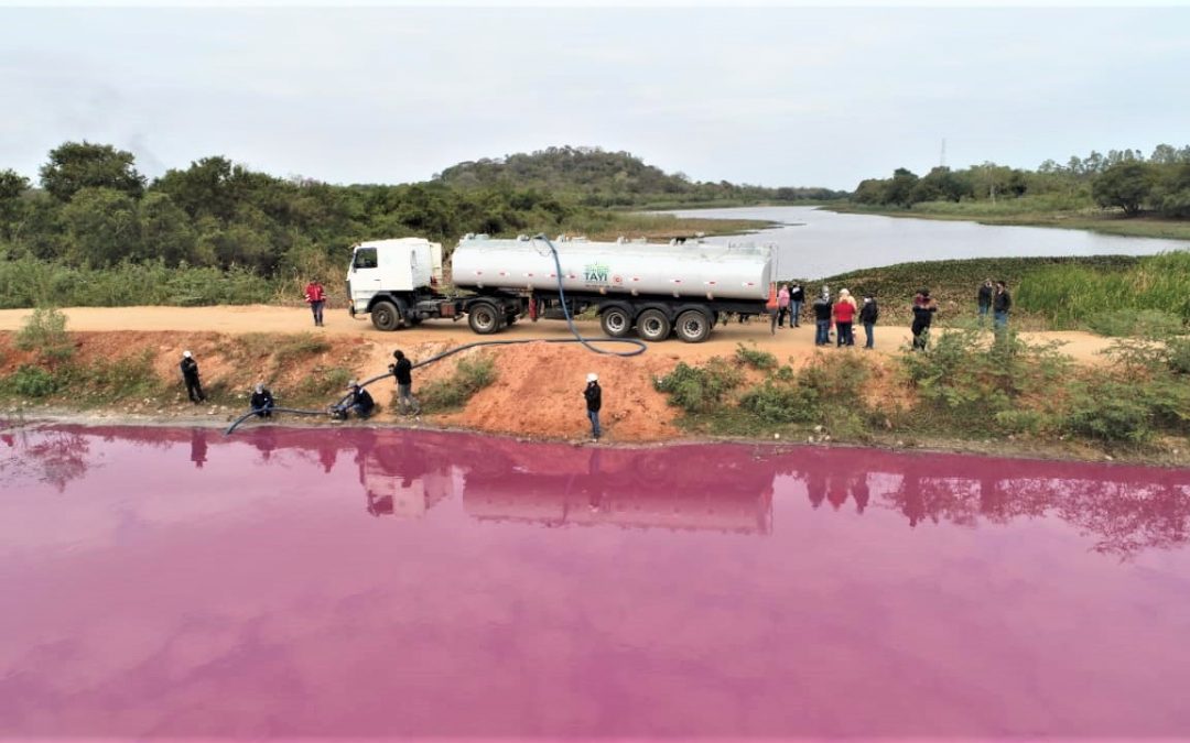 Jurado de Enjuiciamiento solicitó antecedentes del juez que rechazó cierre de Waltrading