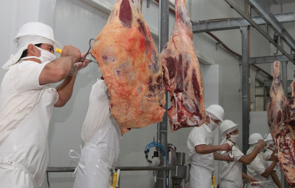 Exportación de carne vacuna registró un 6,5% de incremento