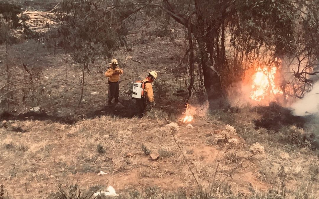 Incendio registrado en la ruta Luque-San Bernardino fue controlado