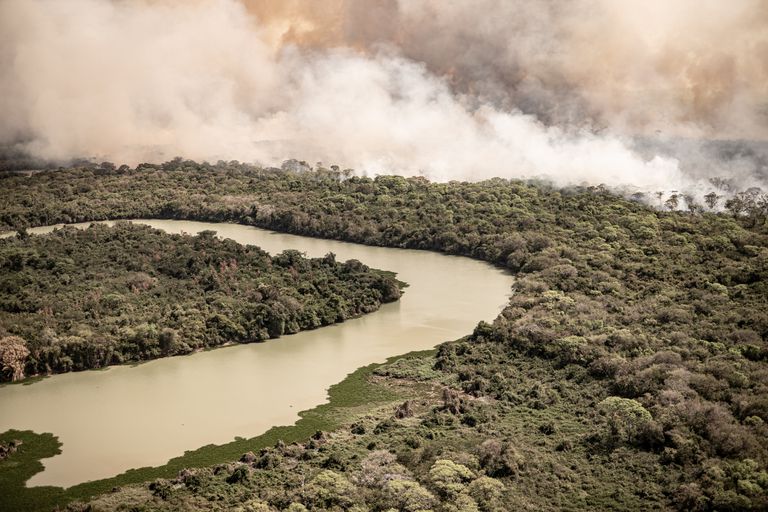 Trágicos incendios en el Pantanal brasileño ya consumieron un 12% del territorio