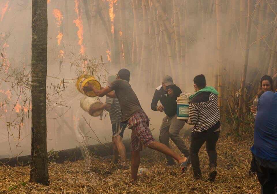 Crisis nacional por incendios: Acciones conjuntas entre Presidencia y SEN