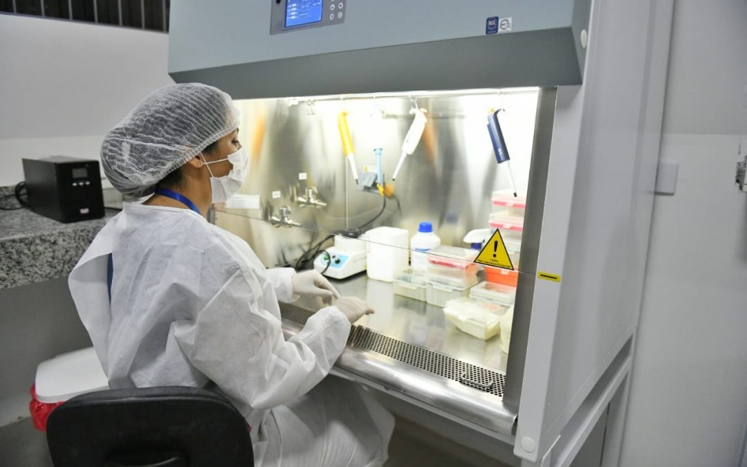 Reporte de Salud detalla 19 nuevos fallecidos por Covid-19