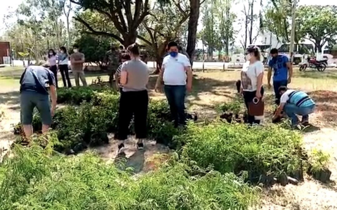 Plantaron más de 10.000 arbolitos en diversos puntos del país