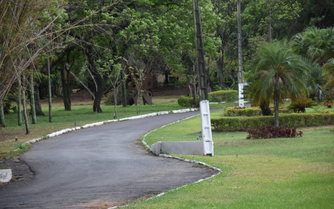 Reapertura del Jardín Botánico solo para actividades físicas