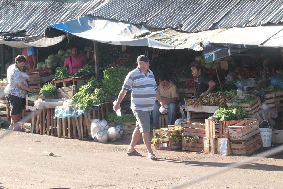 Senado aprueba polémico proyecto de “Ley de Insolvencia”