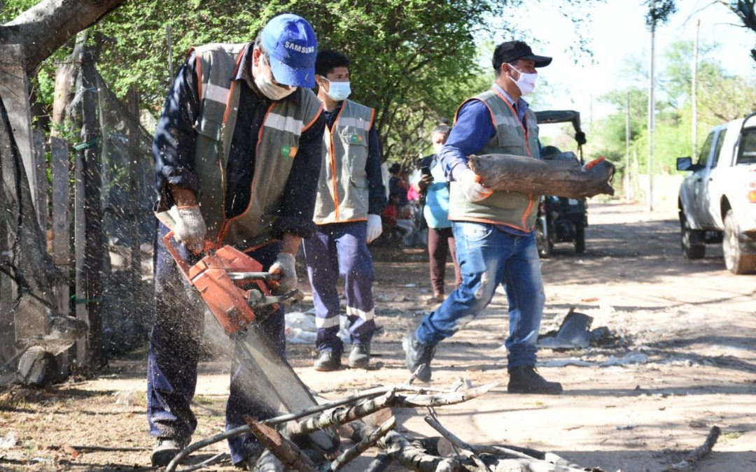 ¡Cuidado con el dengue! Reportan aumento de notificaciones