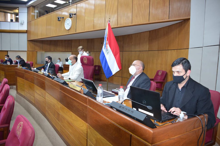 Sesión del senado queda sin quórum y Friedmann vuelve a salvarse