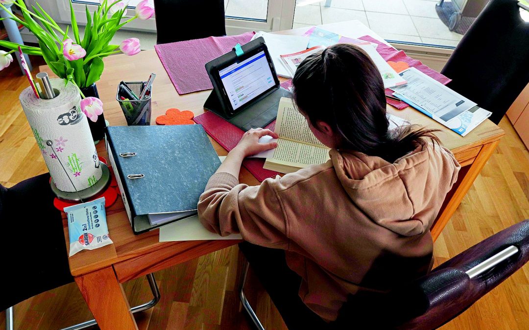 Reclaman que exámenes finales no coinciden con contenidos desarrollados en el año