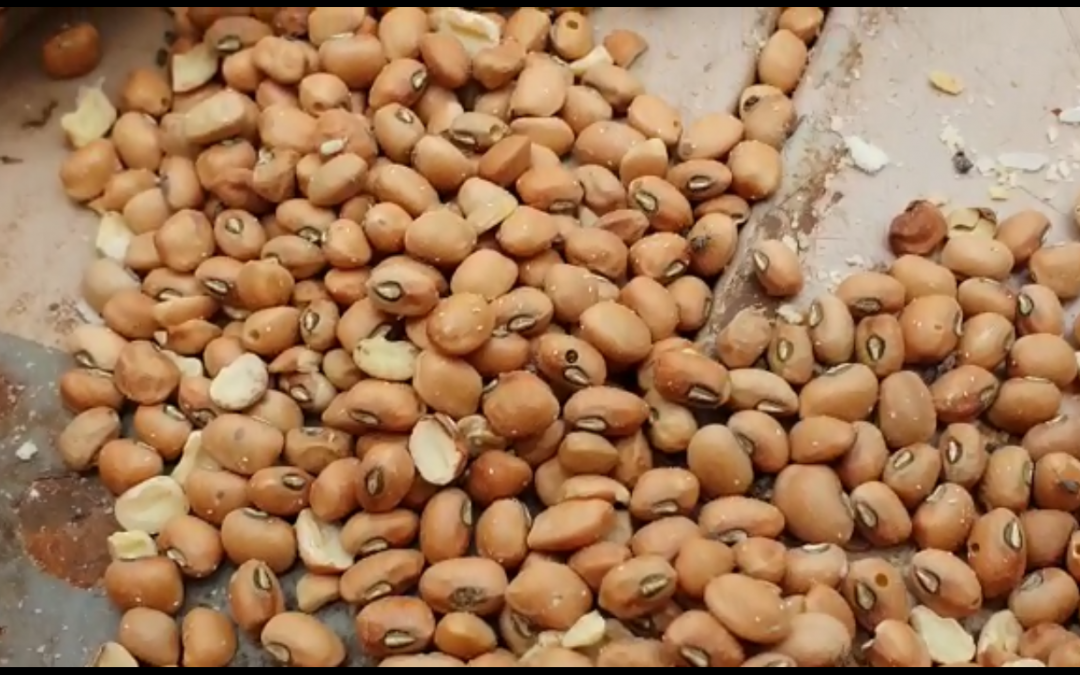 Reclamos en Concepción por kits de alimentos en mal estado