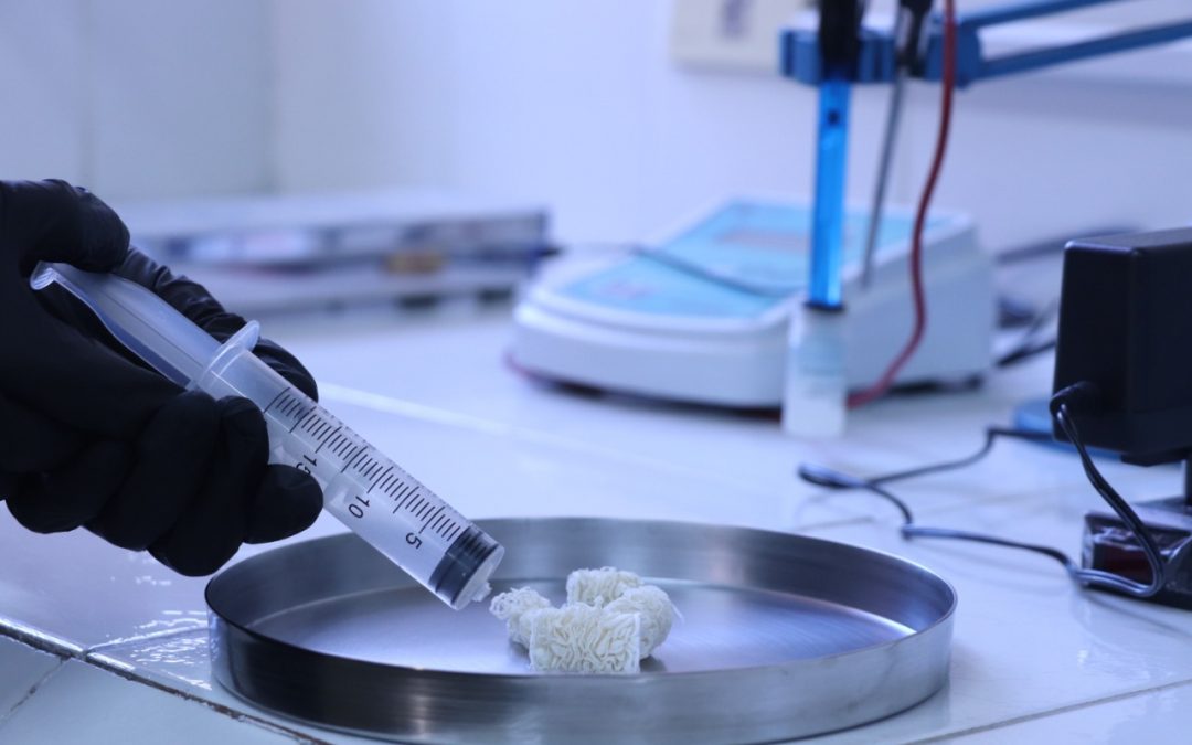 Investigadora encabeza proyecto para capturar metales en aguas residuales