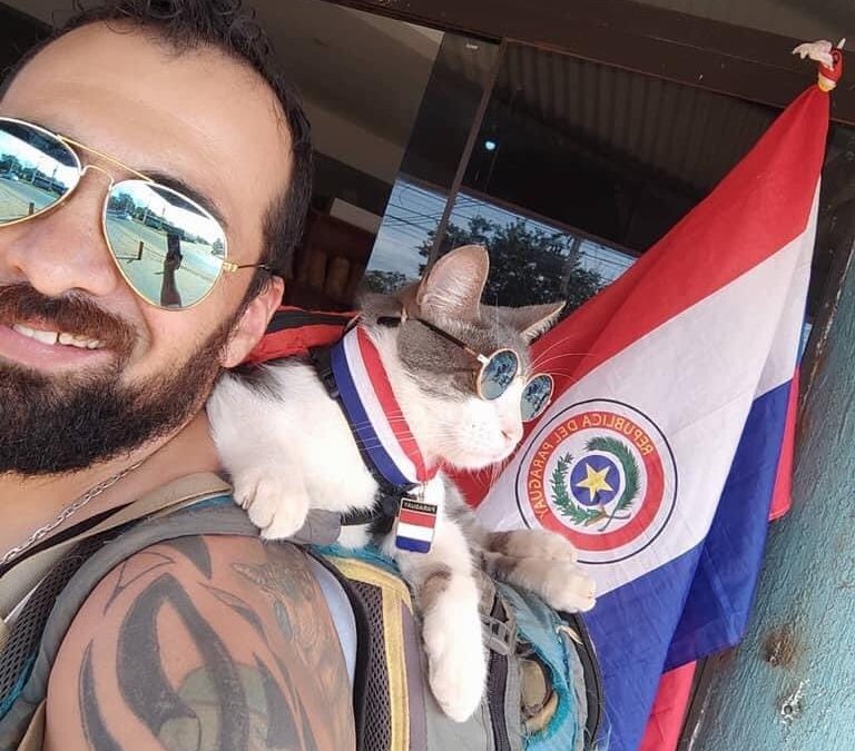 Triste noticia: asesinan al gato mochilero “Bella”