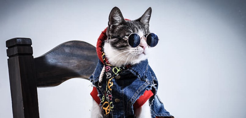 “Bella” murió atacado por perros, revela autopsia