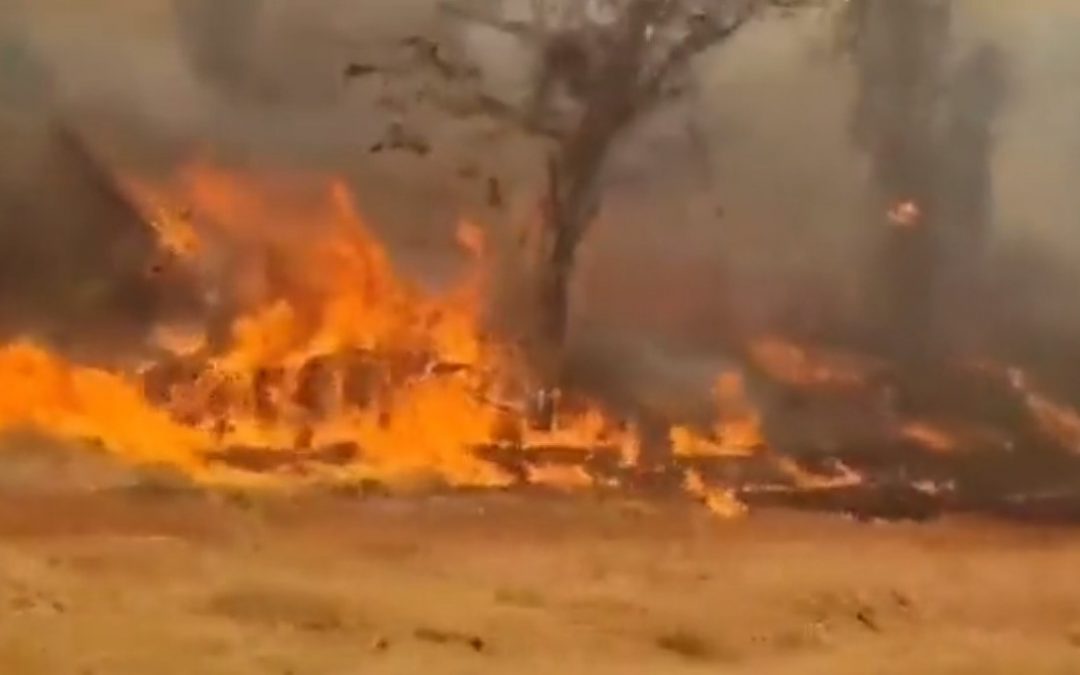 Fuego destruye parte del Parque Nacional Cerro Corá