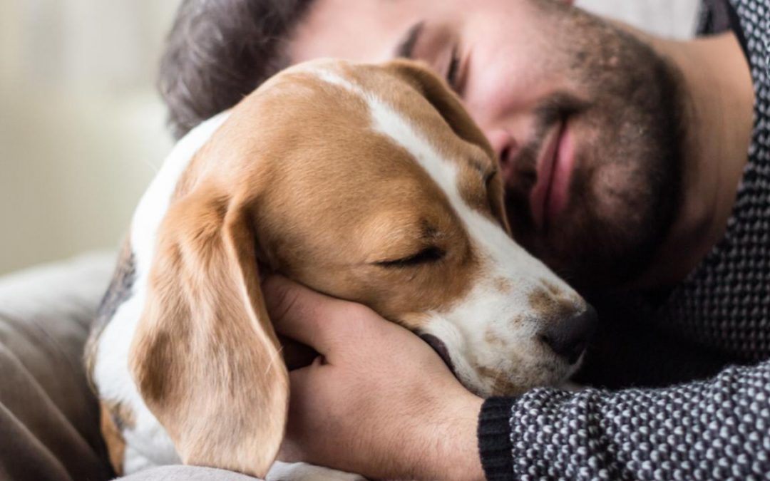 Un abrazo a nuestro perro disminuye el estrés y la nostalgia, según estudio