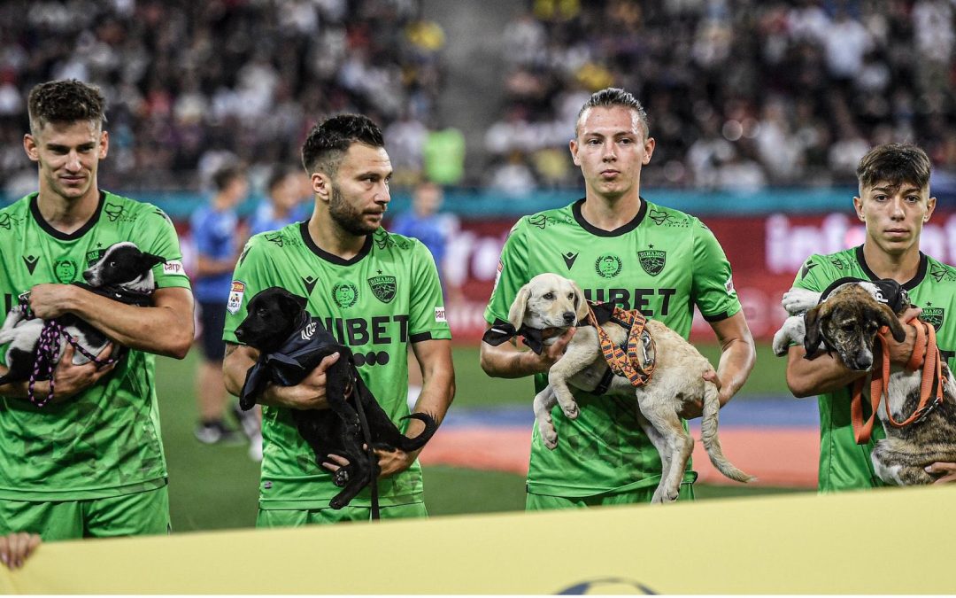 Futbolistas salen al campo de juego con perros en brazos