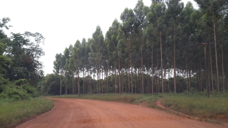 Invasores de tierra: senadores tratarán proyectos para sancionar con más severidad