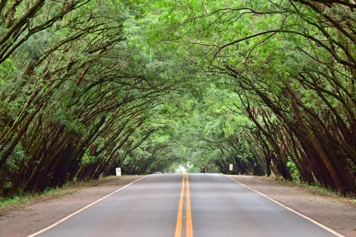 Sector turismo celebrará su Día Mundial camino hacia la recuperación