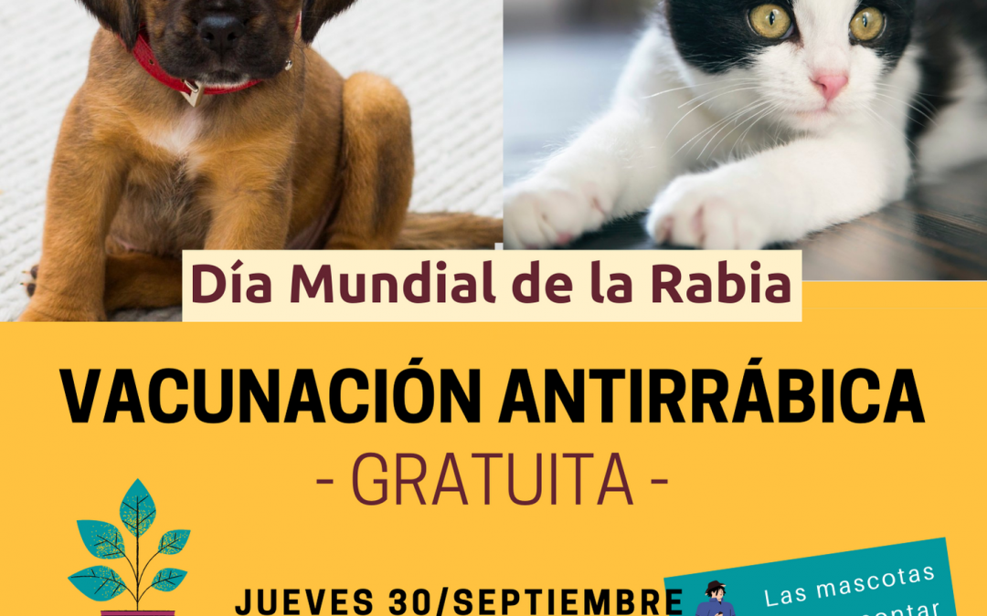 Preparan jornada de vacunación antirrábica gratuita para mascotas