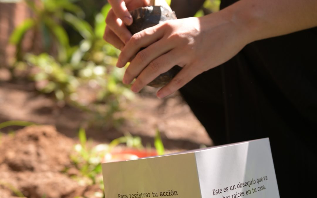 Campaña de concienciación ambiental cerró con entrega de mil plantines