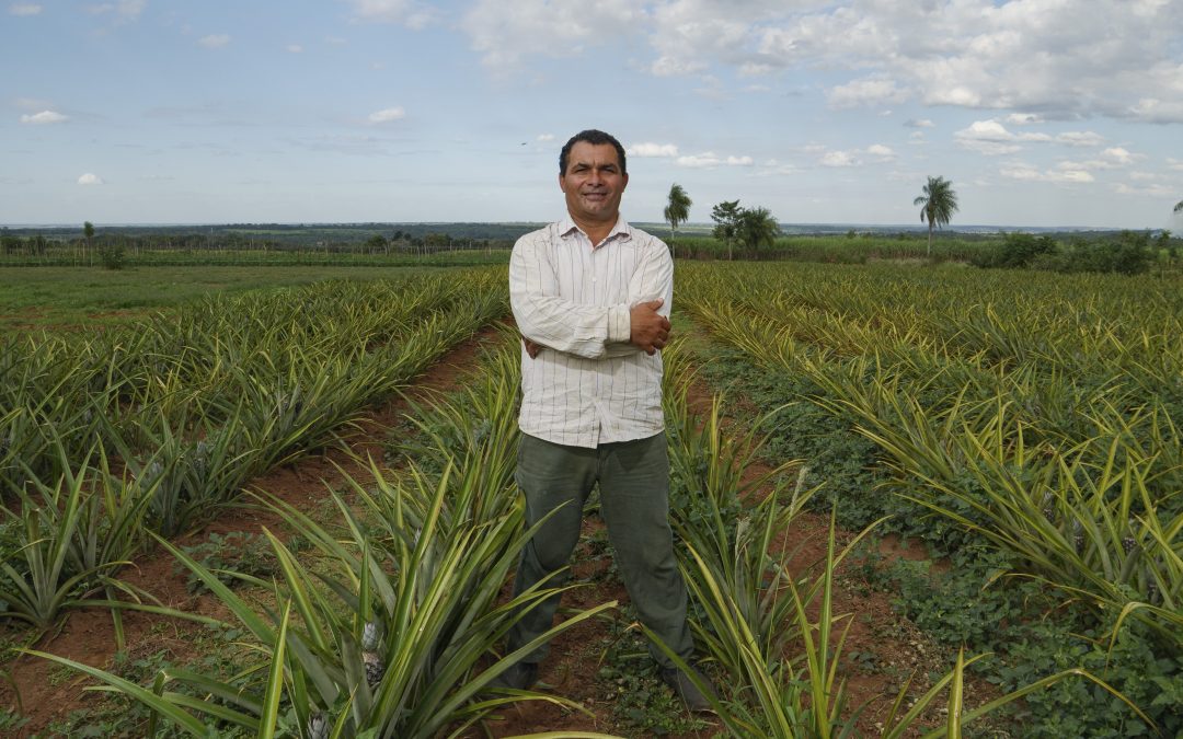 Lanzan campaña para concientizar sobre la importancia de la agricultura familiar