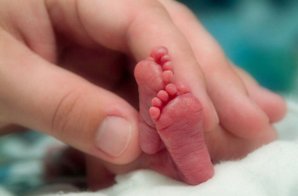 Lanzan seminarios dirigidos al público en general, por la “Semana Nacional del Prematuro”