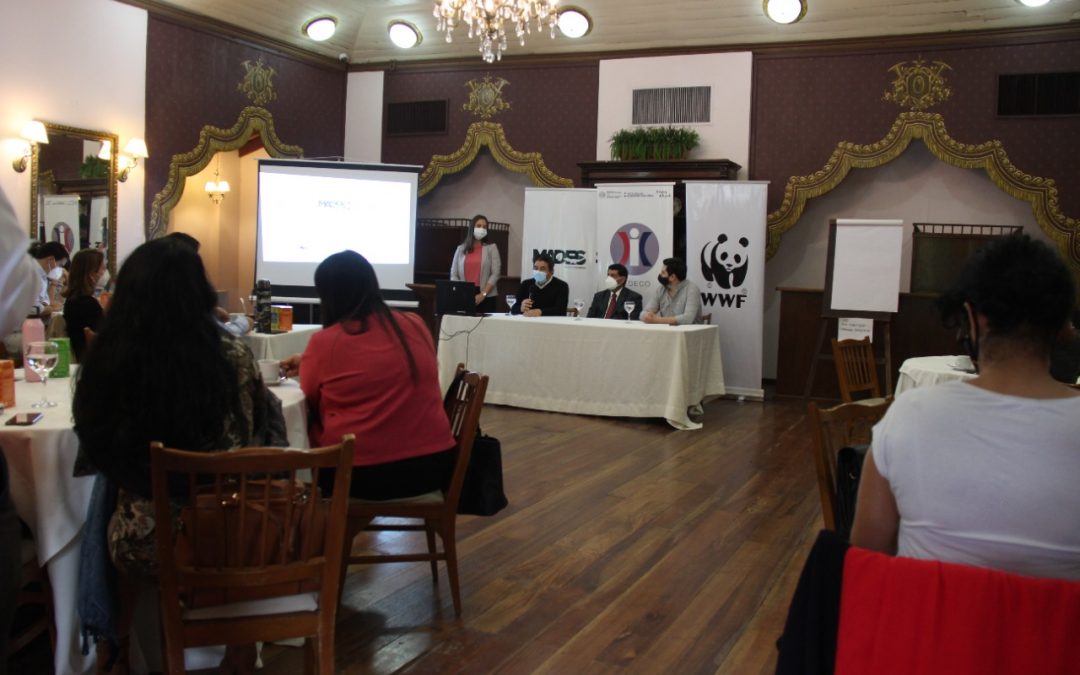 Consumo responsable y amigable en Paraguay ¿Cómo?