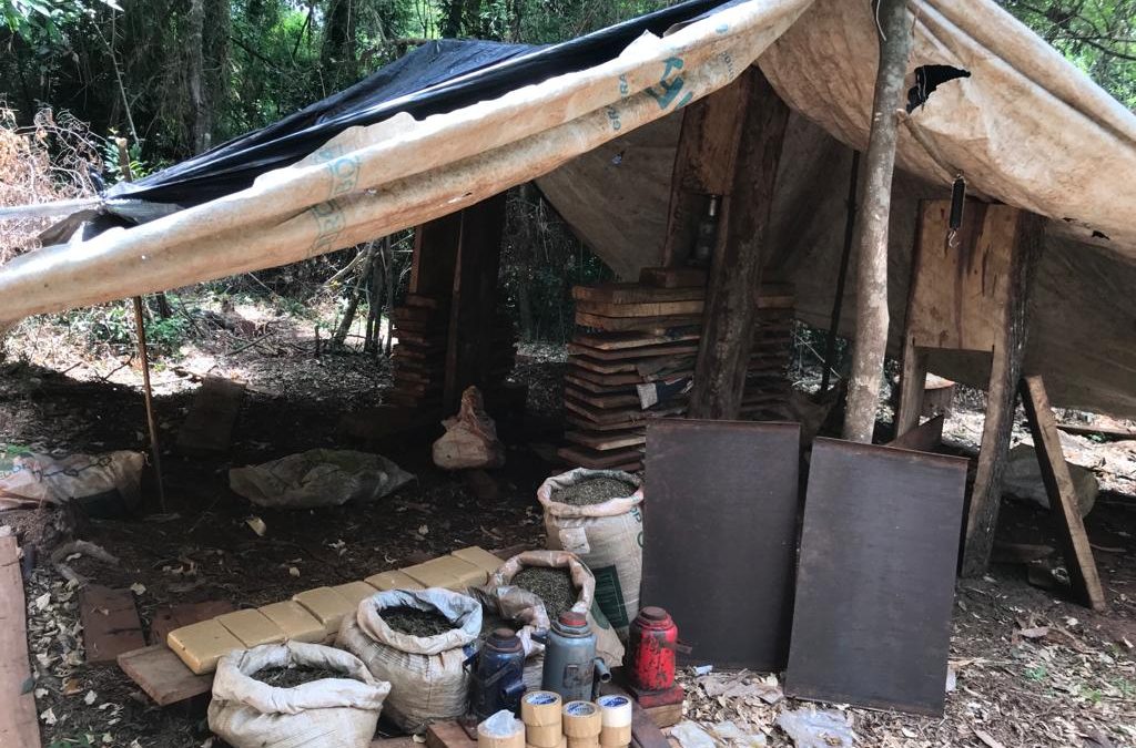 SENAD detecta 250 kilos de marihuana ‘lista’ en Parque San Rafael