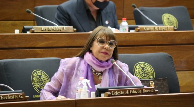 Bachi Núñez presentará pedido para pérdida de investidura de Celeste Amarilla