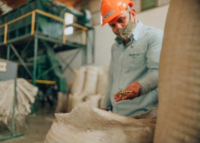 Industria Yerbatera con impacto local e internacional