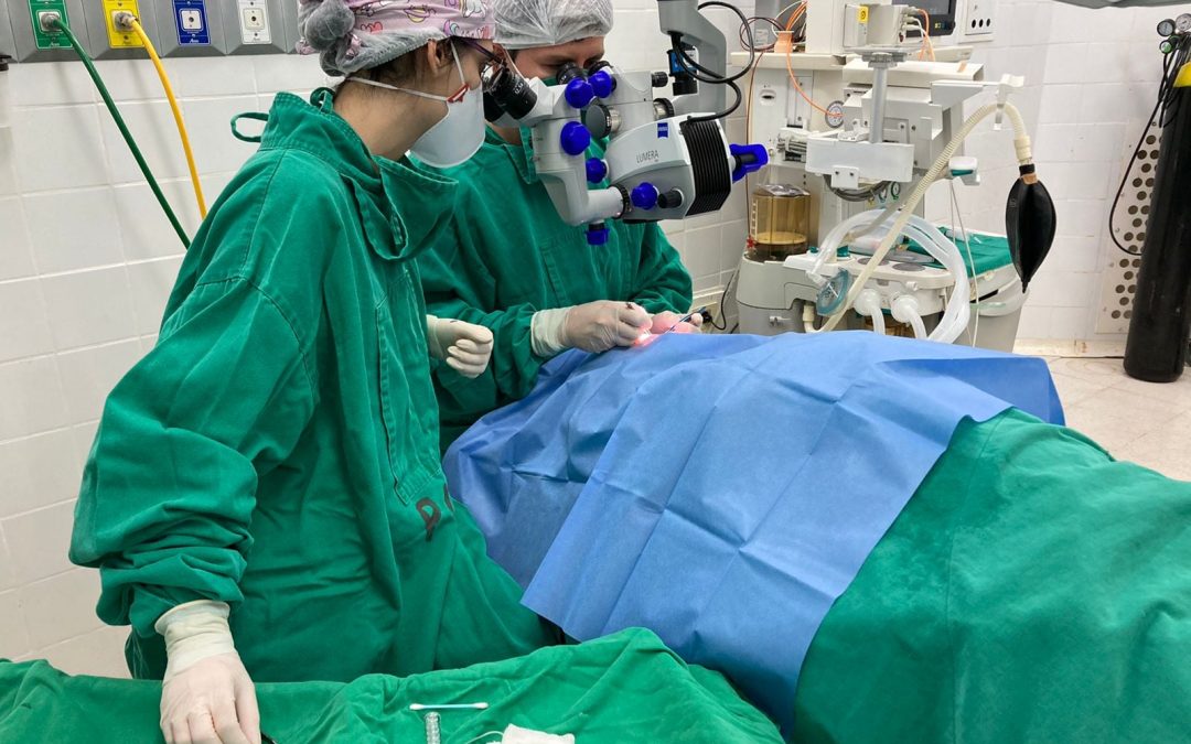 Mujer de 72 años volvería a ver luego de un año gracias a donación de córnea