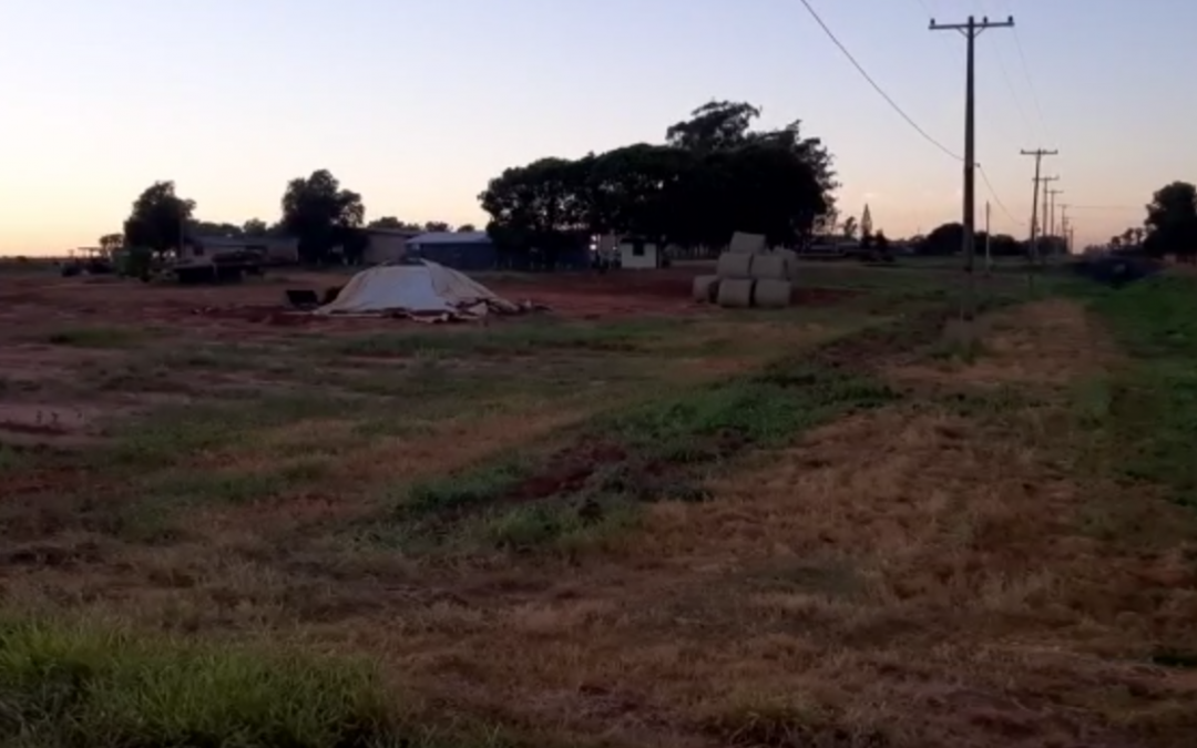 Joven menonita de 23 años es víctima de secuestro en el norte del país