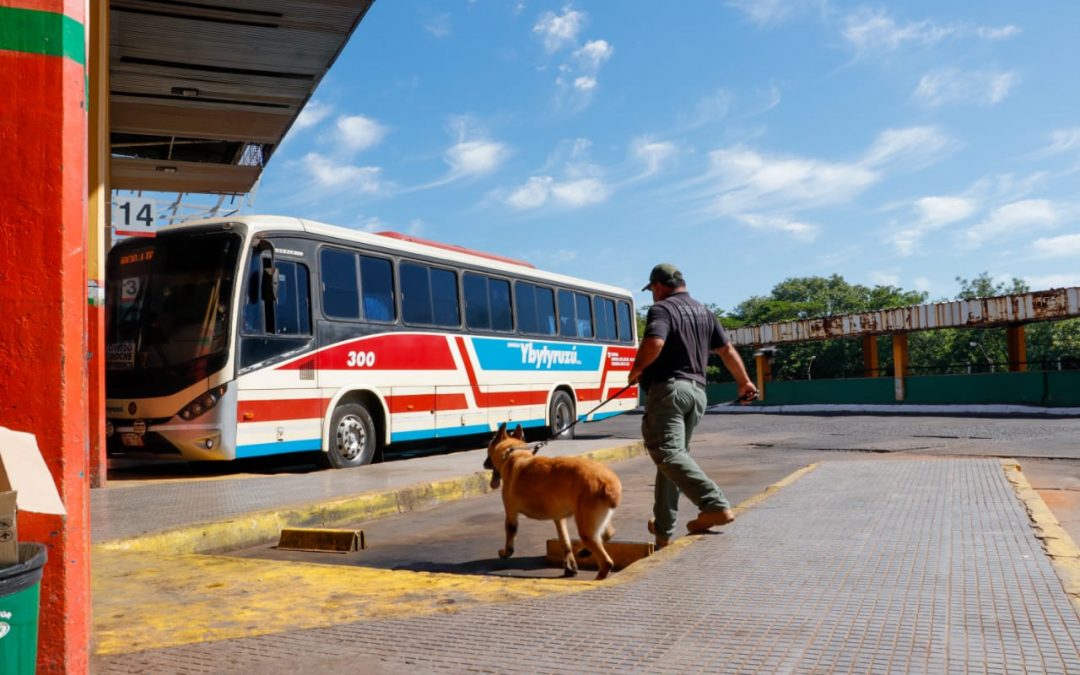 Operativo Caacupé: realizan controles preventivos en la TOA