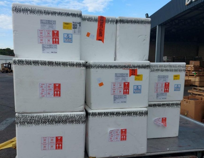 Paraguay adquirió 100 mil dosis contra la fiebre amarilla