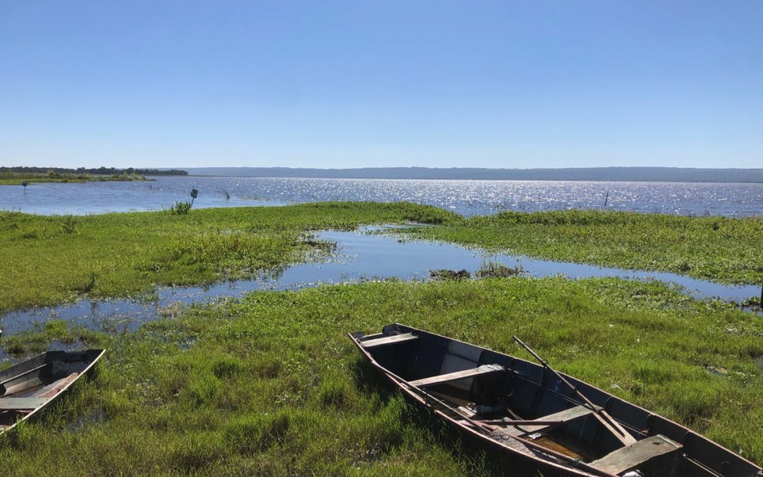 Disminuyen niveles de coliformes en lago Ypacaraí